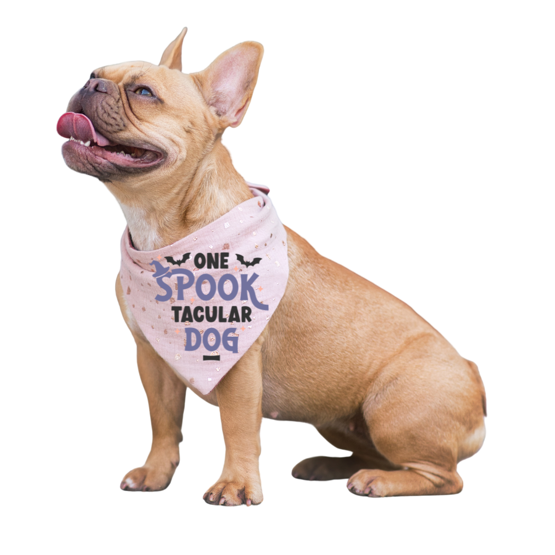 Dog Bandana Design 1 — Harvest